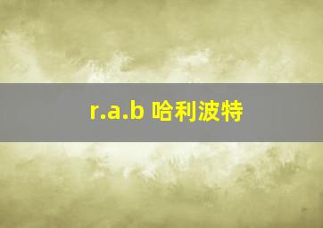 r.a.b 哈利波特